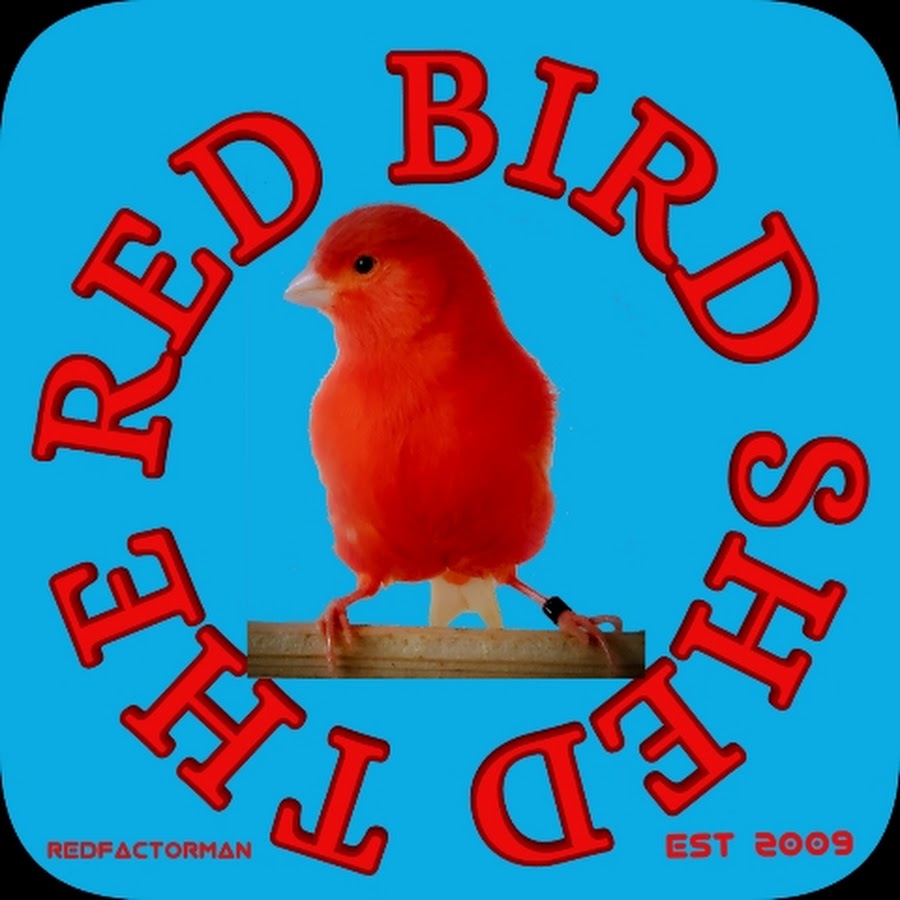 The Red Bird Shed (Redfactorman) @redcanaryman