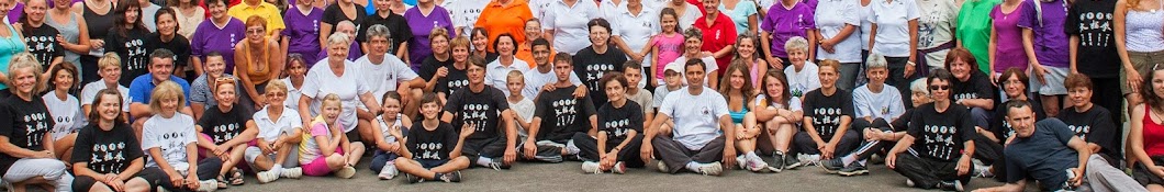 Romanian Qigong Foundation