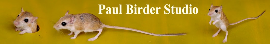 Paul Birder Studio