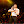 VirlanGarciaOficial avatar