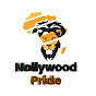 NollywoodPride tv