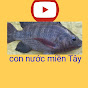 Con Nước Miền Tây