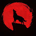 logo pop mma