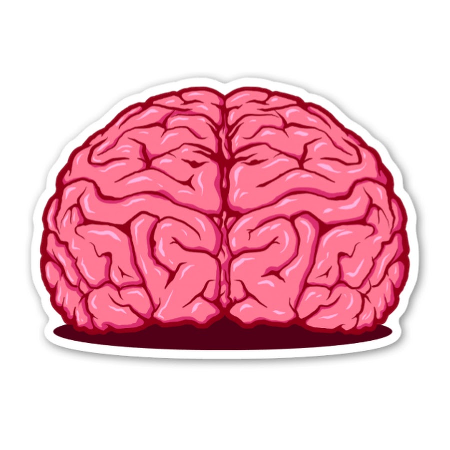 Смайл мозгов. Стикер мозг. Мозг без фона. Мозг рисунок.