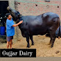 Sikander Gujjar Dairy Farming