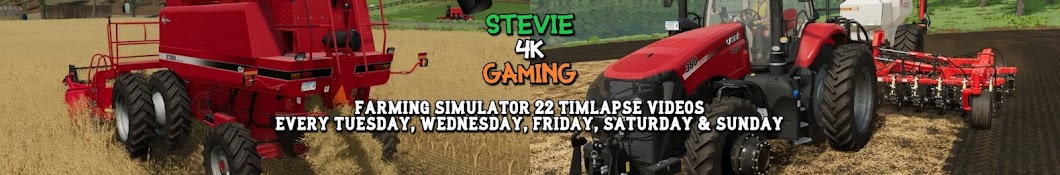 Stevie 4K Gaming Banner