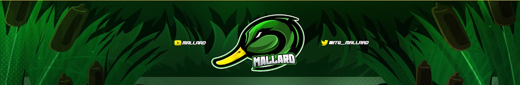 Mallard