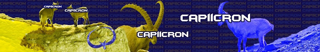 capiicron Banner