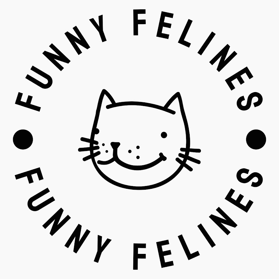 Funny Felines