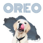 Oreo The lab