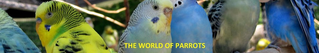 THE WORLD OF PARROTS