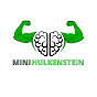 Mini Hulkenstein