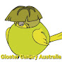 Gloster Canary Australia