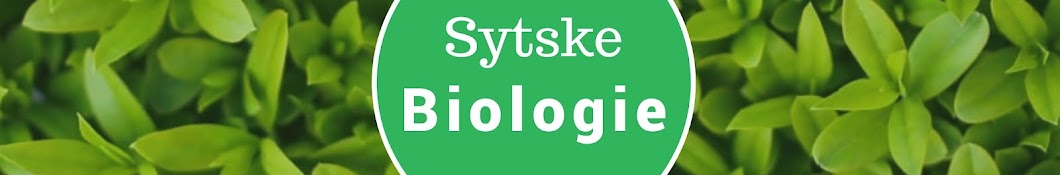 Sytske Biologie