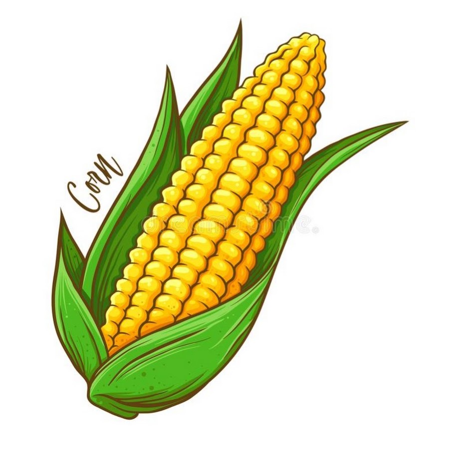 Corn lyrics tiktok
