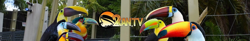 2CAN TV - My Life With Toucans! Banner