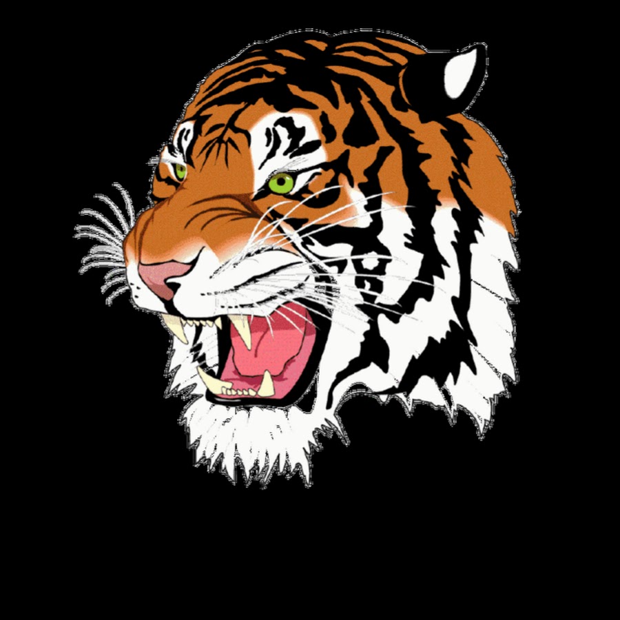 Lancaster Tigers Studio - YouTube