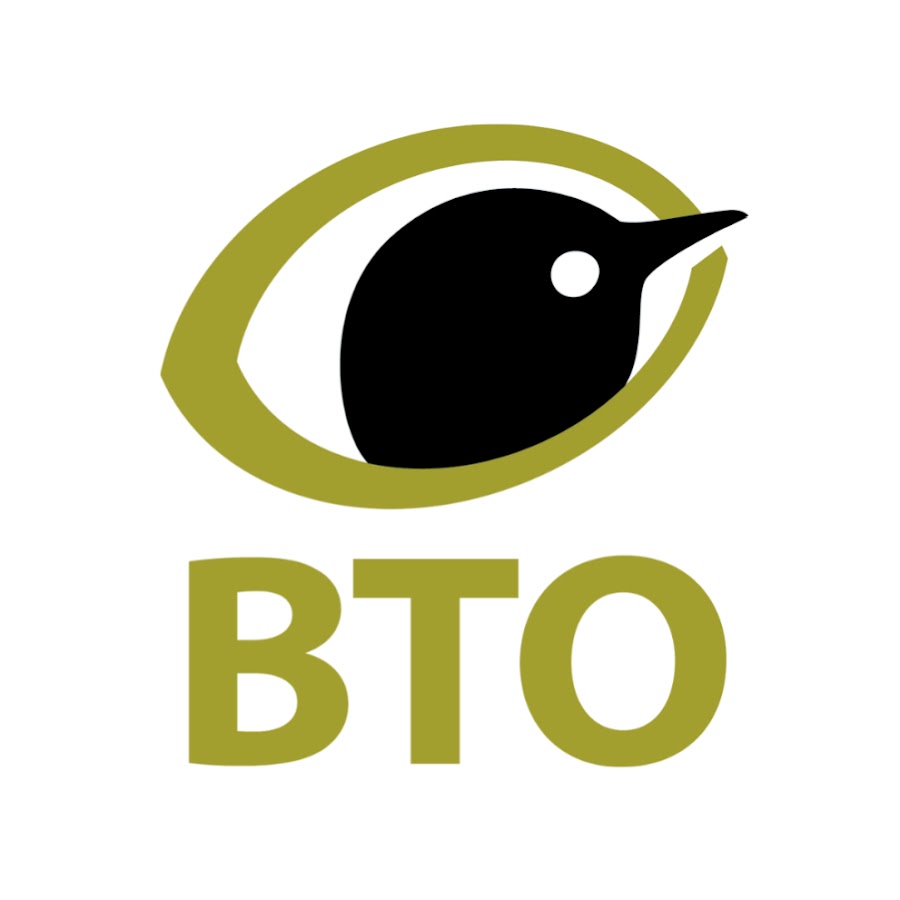 Rook  BTO - British Trust for Ornithology