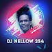 Dj Nellow254