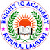 Bright IQ Academy