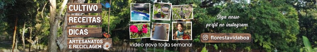 Sítio Floresta Vida Boa