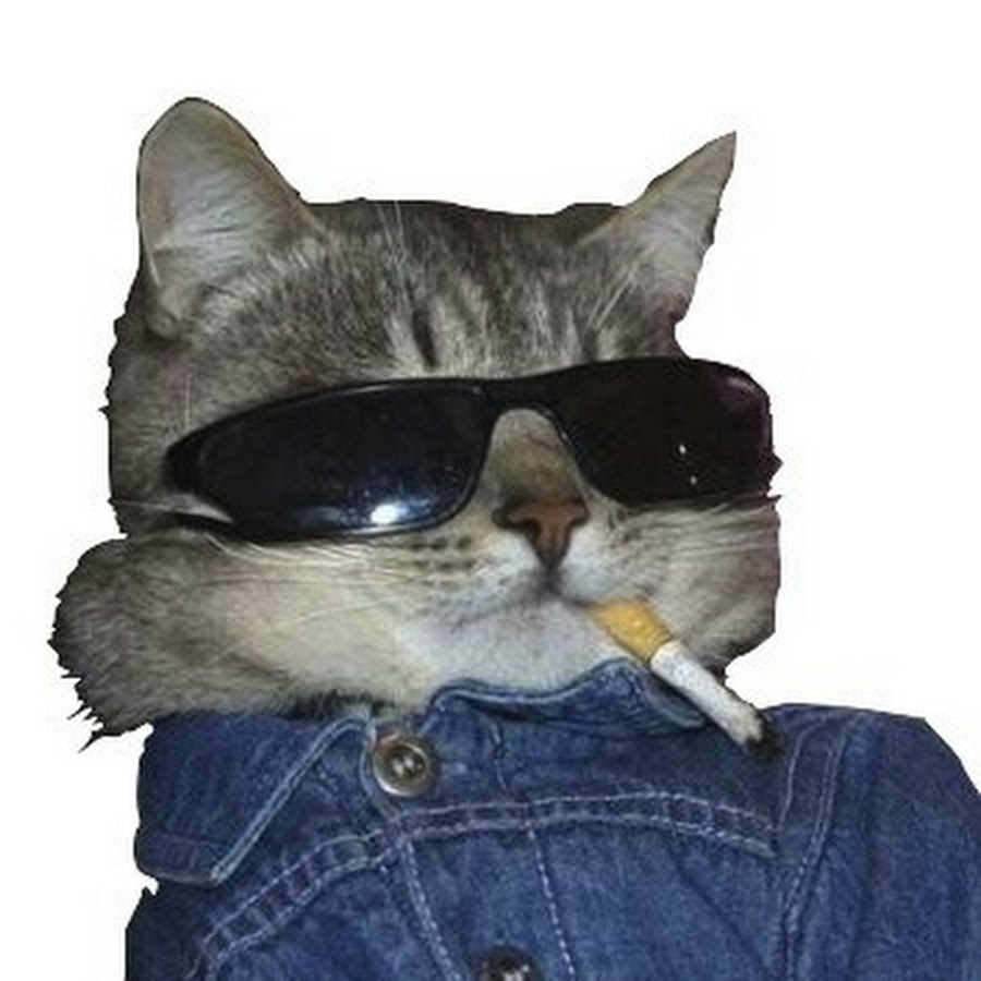 Кот с сигарой арт