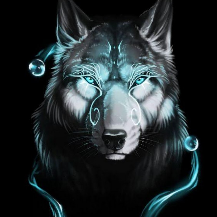 Аватар для ВК волк