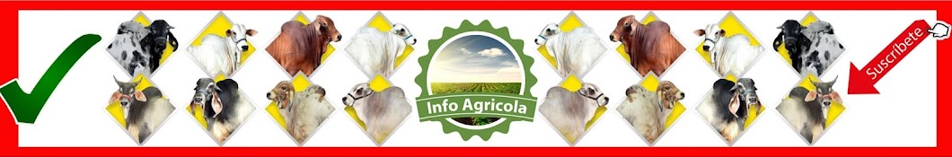 InfoAgricola GT Banner