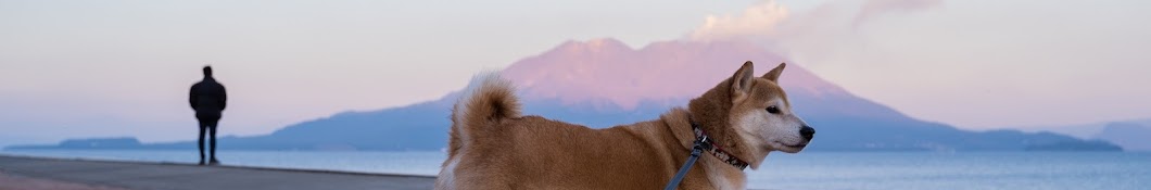 テルオの柴犬DIYと鹿児島散歩