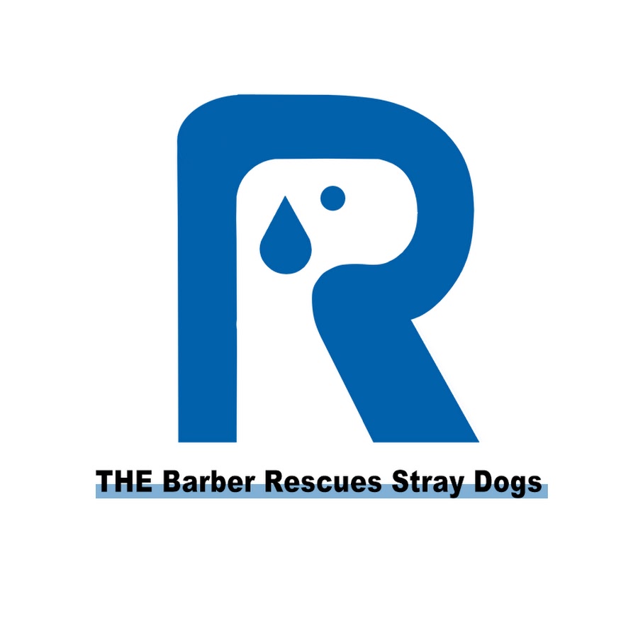 THE Barber Rescues Stray Dogs