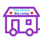 Tiny House Big Living Design Ideas