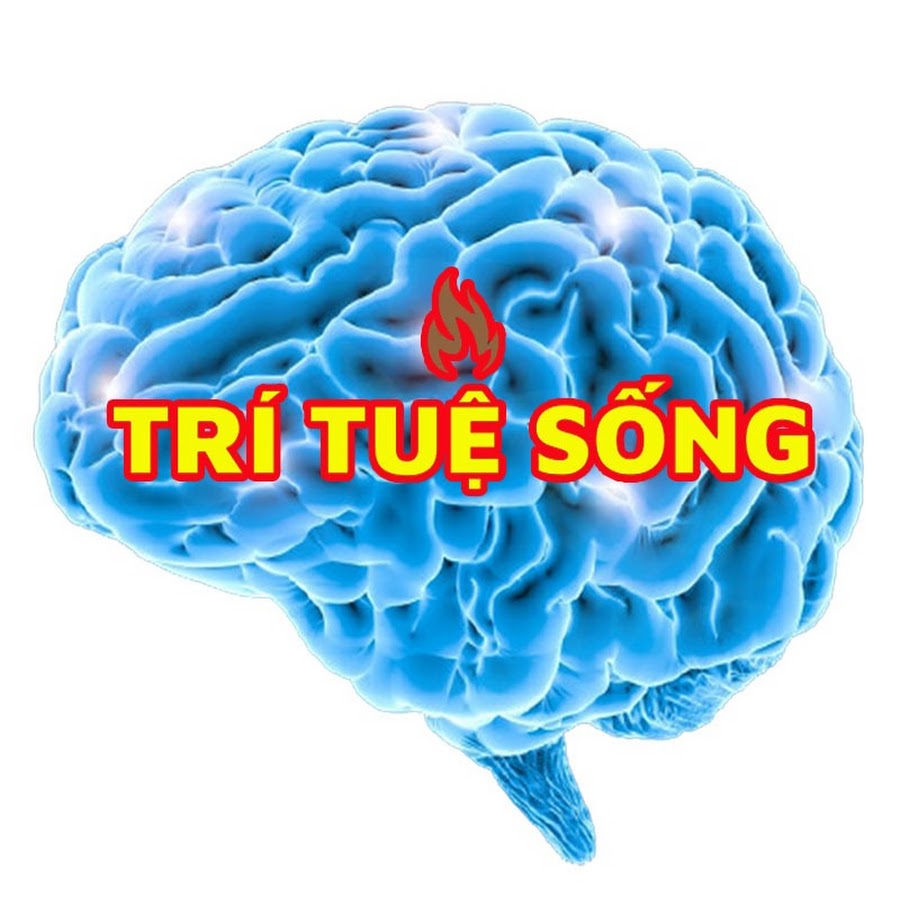 TRÍ TUỆ SỐNG Official @trituesongofficial