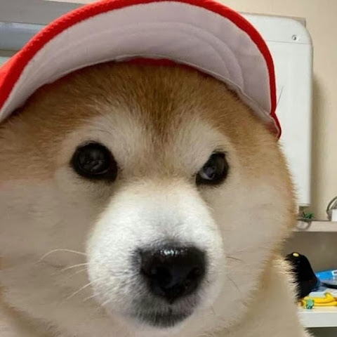 influencer profile picture