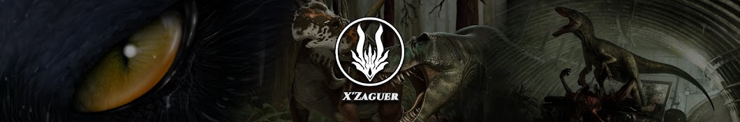 X Zaguer Banner