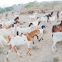 Pak thar village 