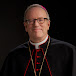 Bishop Robert Barron