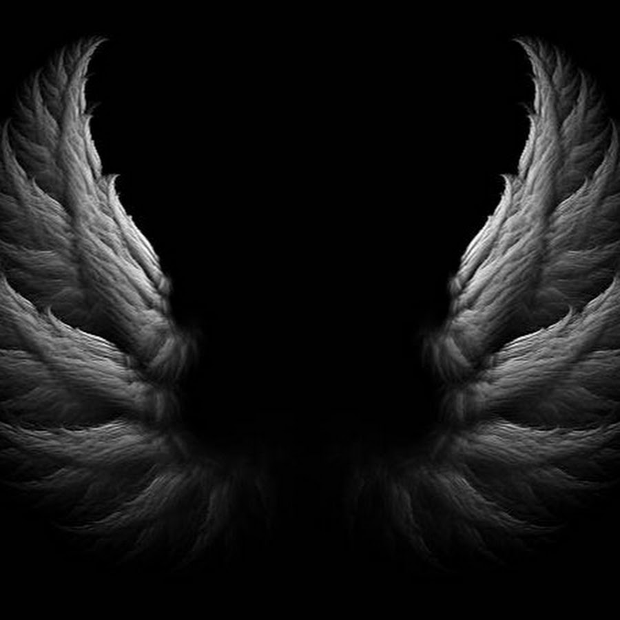 Крылья ангела. Крылья на темном фоне. Черные Крылья. Крылышки на черном фоне. Крылья на черном фоне