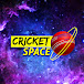 Cricket Space