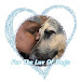 For The Luv Of Dogs