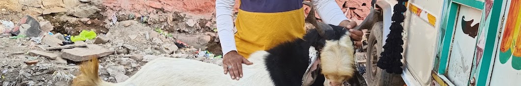 Kota Bakra