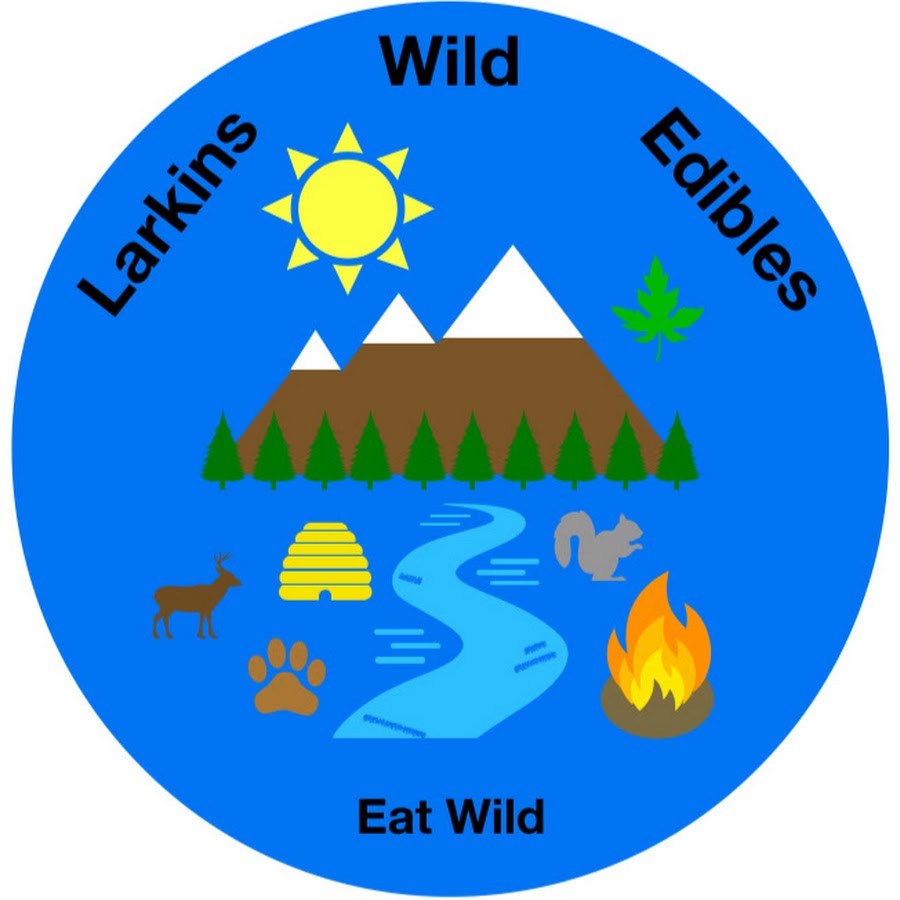 Larkins Wild Edibles