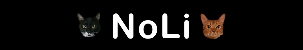 NoLi Banner