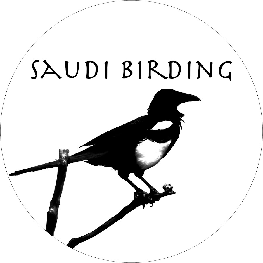 Saudi Birding