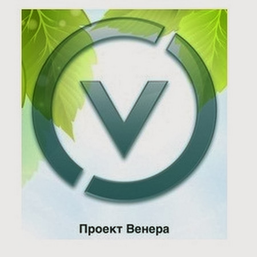 Проект венера вк