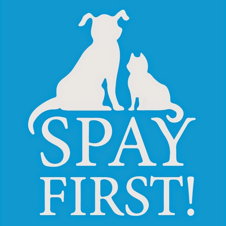 Quite spay. World Spay Day. Dietive Spay. Spay перевод. Spay Day 2023.