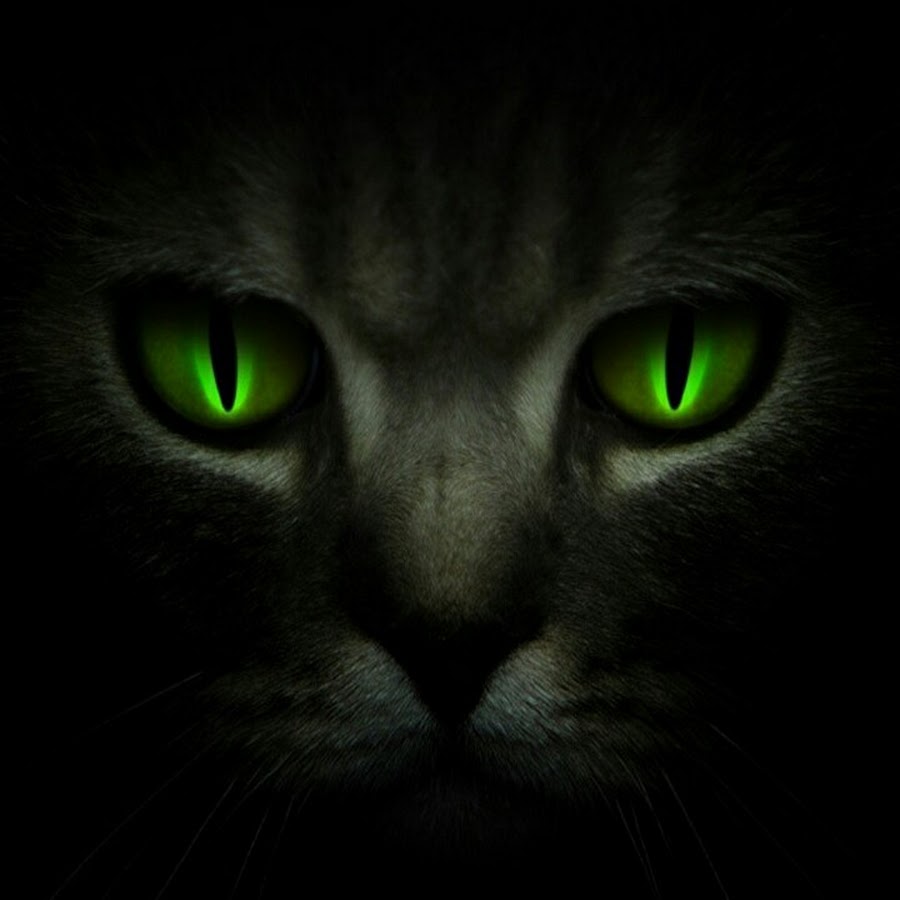 Кошачий глаз зеленый