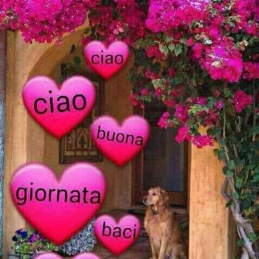 Buona giornata картинки