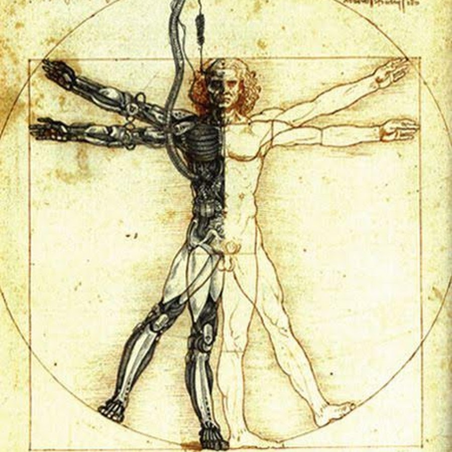 Человек леонардо да винчи. Да Винчи человек Витрувианский. Vitruvian man Леонардо да Винчи. Витрувианская женщина Леонардо да Винчи.