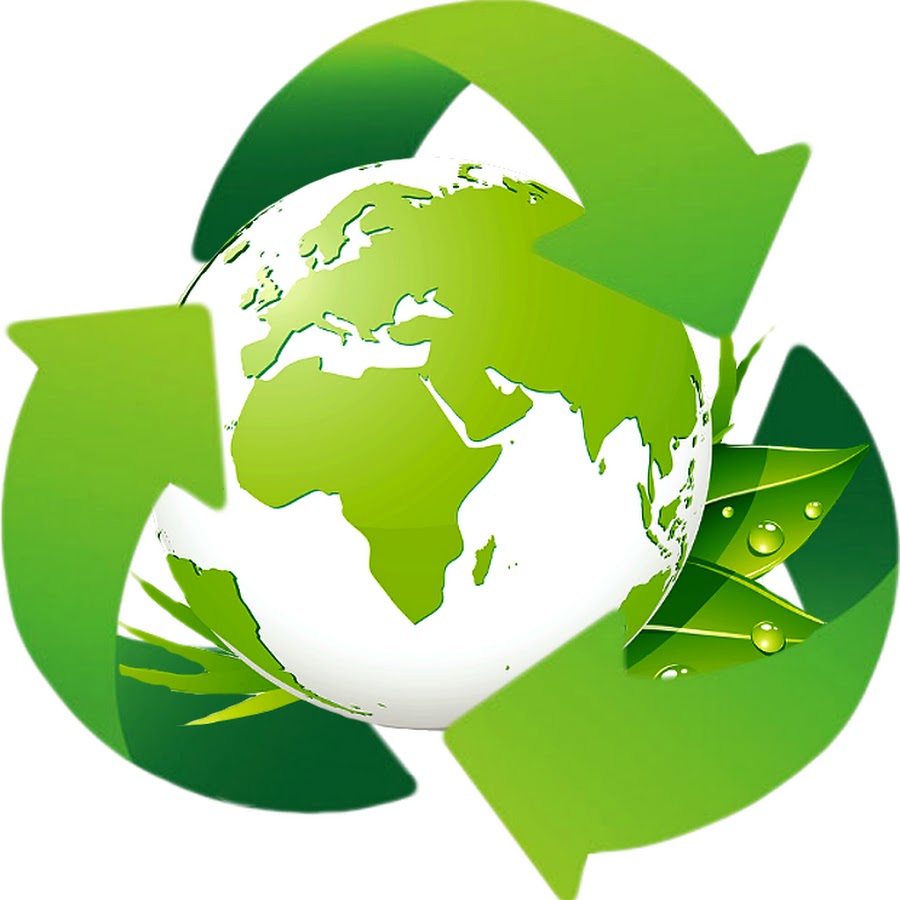 Разработка экологической программы. Экология на прозрачном фоне. Экология логотип. Экологические программы. Защита окружающей среды.