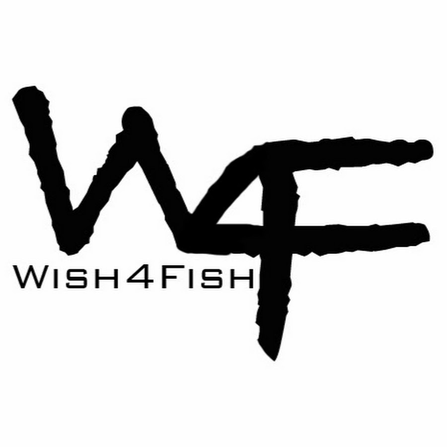 Wish Fish. Wish 4 k.